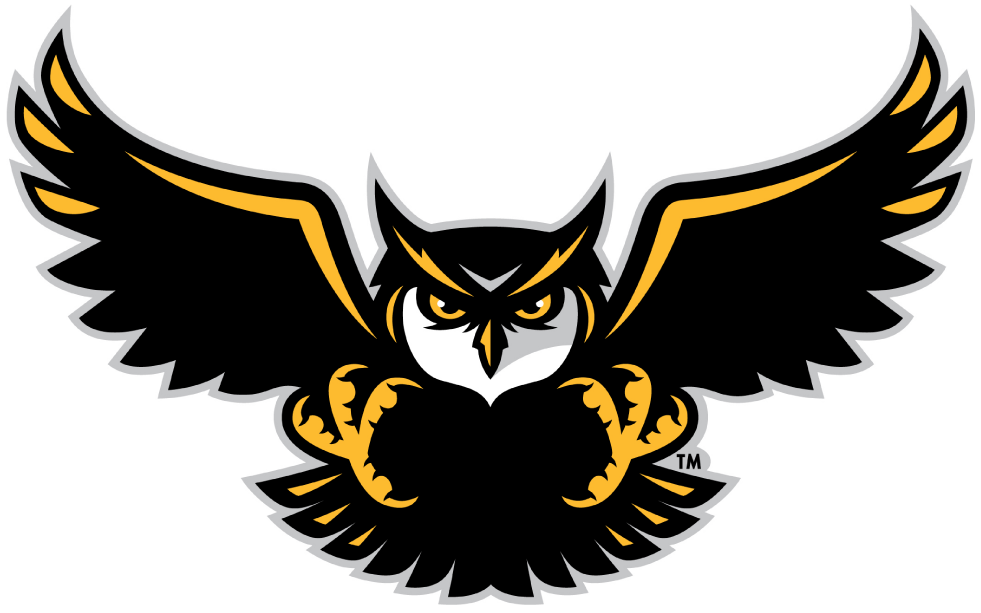 Kennesaw State Owls 2012-Pres Alternate Logo v4 iron on transfers for clothing